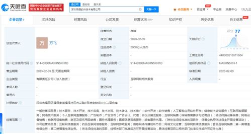 榮耀跨界布局游戲與信息服務，2000萬成立軟件子公司引發行業關注